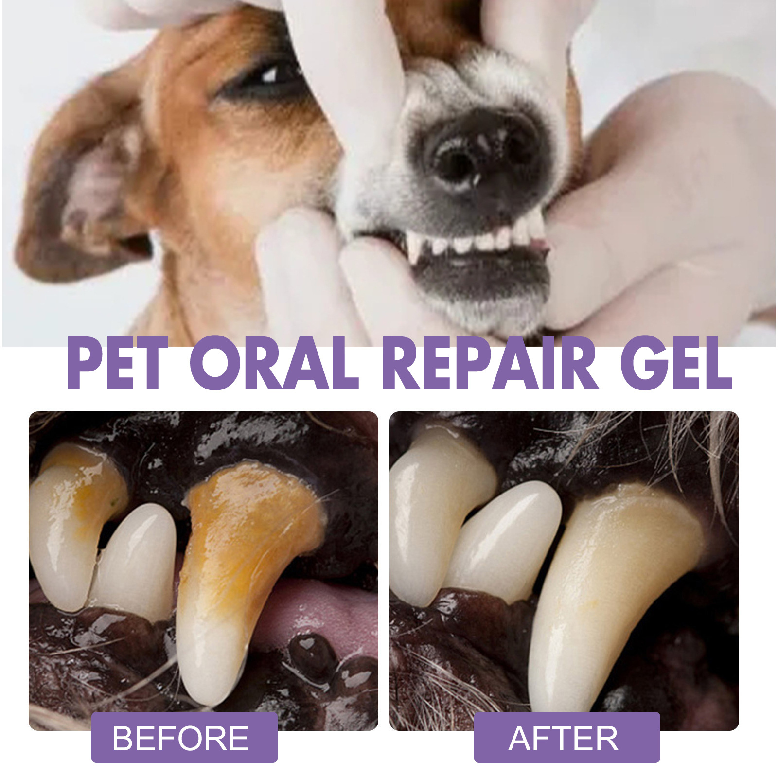Pet Oral Repair Gel Puppy Tart - đánh giá và giá Teeth Whitening Vape